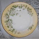 4 Franconia Bavaria Germany Hawthorn Dinner Plates