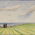 Fields of Dunnottar