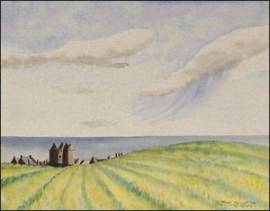 Fields of Dunnottar