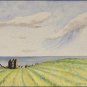 Fields of Dunnottar