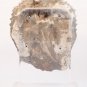 Northern Thai Haripunjaya stucco head of Buddha 11thc