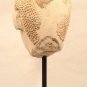 Ayutthaya stucco temple Buddha head 15-18thc
