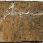 2nd-3rd C Gandharan Schist Buddhist Temple panel carving