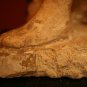 15th - 18th c Sandstone Hindu Temple Shiva Sculpture (ups pack ship)