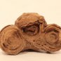 Moroccan stromatolite fossil
