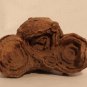 Moroccan stromatolite fossil