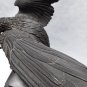 Japanese Meiji Bronze Hawk Okimono on Rockery base signed