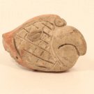 Mayan Pre Columbian terracotta parrot head