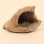 Mayan Pre Columbian terracotta parrot head