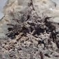 Quartz Crystal and black Tourmaline specimen