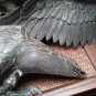 Japanese Meiji Bronze okimono Hawk on Rockery base signed
