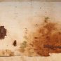 Chimu painted Textile with Monkeys Jaguars birds and Warriors