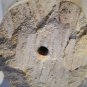 Indonesian Majapahit Tuff stone carved Sculpture Head
