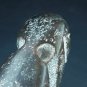 Hongshan Alien Nephrite Jade Figure Pendant