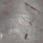Chavin quartz snail