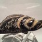 Hongshan Nephrite Alien Head Toggle Pendant with Tremolite