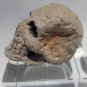 Michael Lee Ford Outsider folk Prison art "skull" sculpture