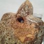 Hongshan Nephrite Turtle Toggle pendant sculpture