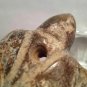 Hongshan Nephrite Turtle Toggle pendant sculpture