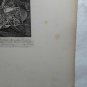 "William Hogarth" Four Heads from the Cartoons at Hampton Court. The Works of Wi