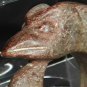 Neolithic Honshan Dragon Bi disk in Nephrite
