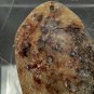 Early Chinese white Jade? pebble Pendant of flowers