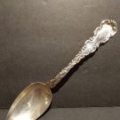 Louis XV (Sterling, 1891) by Whiting Manf Co serving spoon "Hughes"
