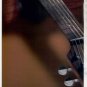* WALDEN GUITAR AD 2-PAGE