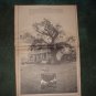 * 1970 ARTIE KORNFELD POSTER TYPE PROMO AD