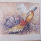 Vintage Simplicity Crewel Kit Autumn Pheasant Wagon Wheel Field 14" x 11" NOS
