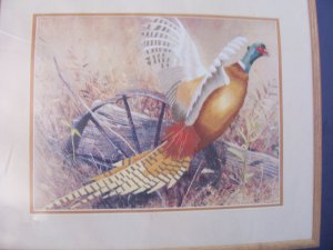 Vintage Simplicity Crewel Kit Autumn Pheasant Wagon Wheel Field 14" x 11" NOS