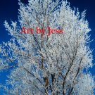 Ice Tree 1B