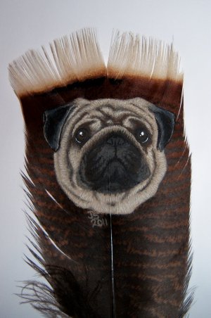 Pug