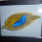 Blue Morpho Butterfly