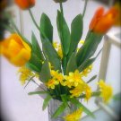 Colorful Tulips in aluminum container