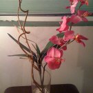 Pink Exotic in vase
