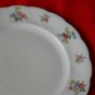 Forest Bavaria  "REMEMBRANCE"  Dinner plate- (6 AVAILABLE) GERMANY