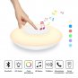 Multi-function Bluetooth 4.2 Loudspeaker - 5 watts, 2000 mAh battery, Night Light, 3 Modes, FM