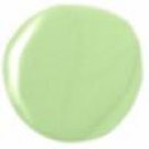 Large Pastel Green 15mL Scratchers AnyWEAR Special Nail Art Polish - Use with Konad image plates