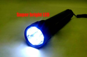 EFO | Solar Rechargeable Torch | Energy Saving and Environmentally Friendly