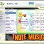 USB Dongle for Worldwide Internet Radio and TV Player 2 in 1