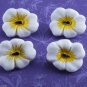 Tropical Flower Glass Sewing Button Set Of 4  White Yellow Black Center