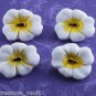 Tropical Flower Glass Sewing Button Set Of 4  White Yellow Black Center