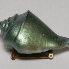 Vintage Unique Green Painted Mollusk Shell Pin Broach