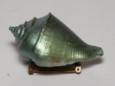 Vintage Unique Green Painted Mollusk Shell Pin Broach