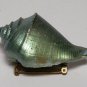 Vintage Unique Green Painted Mollusk Shell Pin Broach