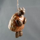 TURTLE NAMED ELMER
