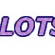 WHOLESALE LOTS