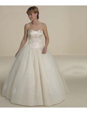 Ball Gown Strapless Floor Length Organza wedding dress for brides 2010 style(WDA0308)