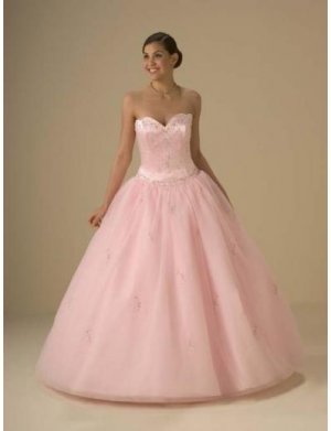 Ball Gown Sweetheart Floor Length Organza wedding dress for brides 2010 style(WDA0324)